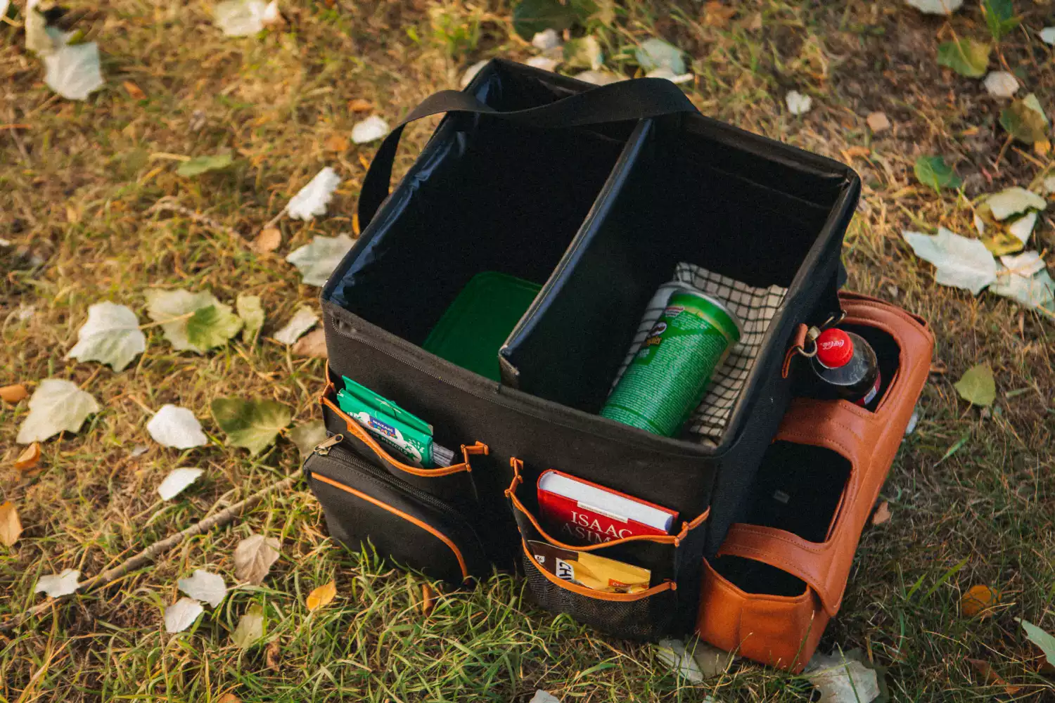 Ram Truck rear storage