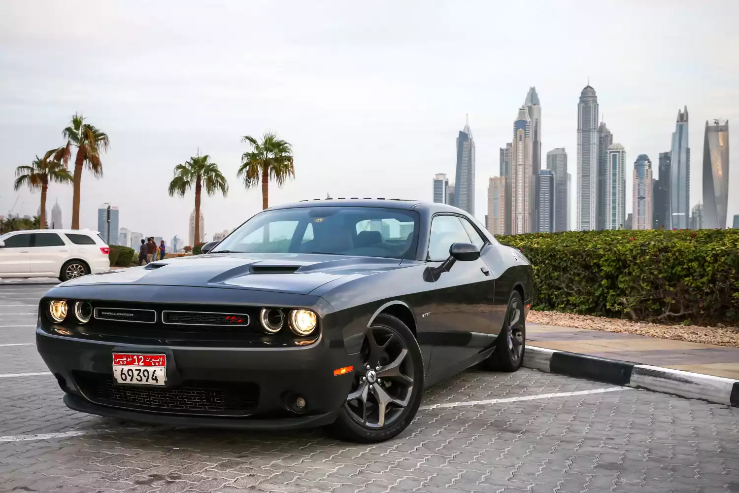 dog back seat cover for Dodge Challenger