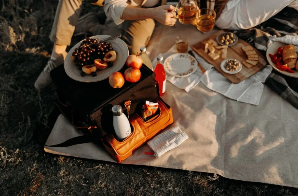 water repellent picnic blanket