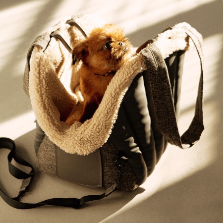 Dog Carrier Seat Description 1 Dog Carrier Seat Description 1